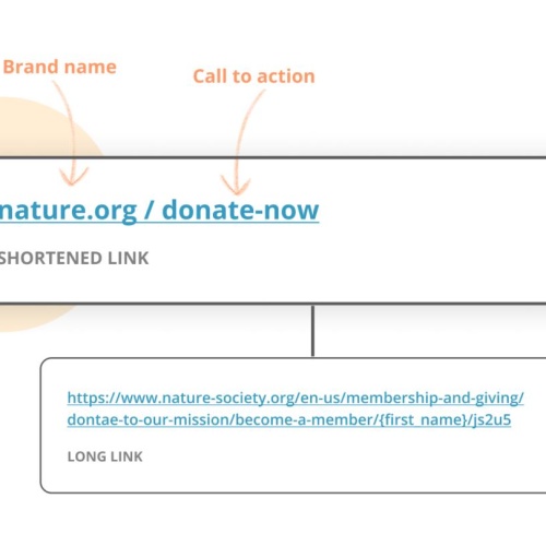 The Importance of Link in Bio in Social Media Expansion
